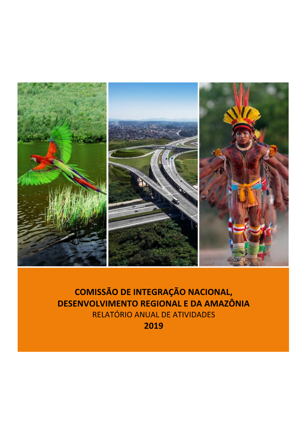 Comissão De Integração Nacional, Desenvolvimento Regional E Da Amazônia 2019