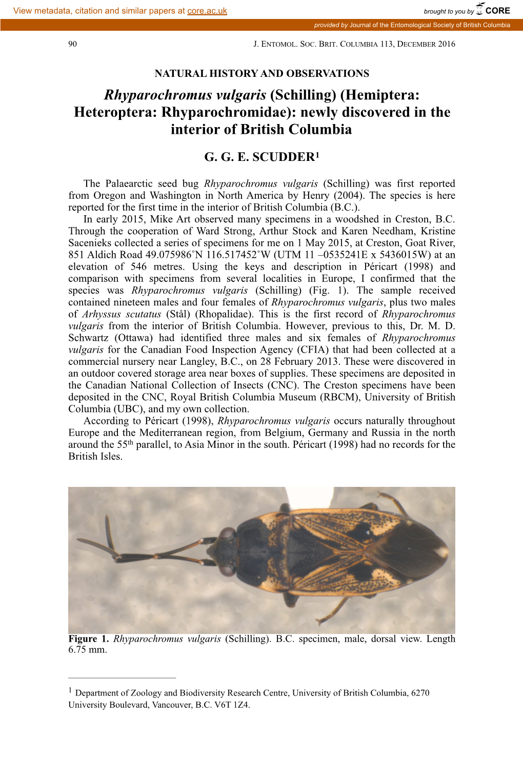 Rhyparochromus Vulgaris (Schilling) (Hemiptera: Heteroptera: Rhyparochromidae): Newly Discovered in the Interior of British Columbia