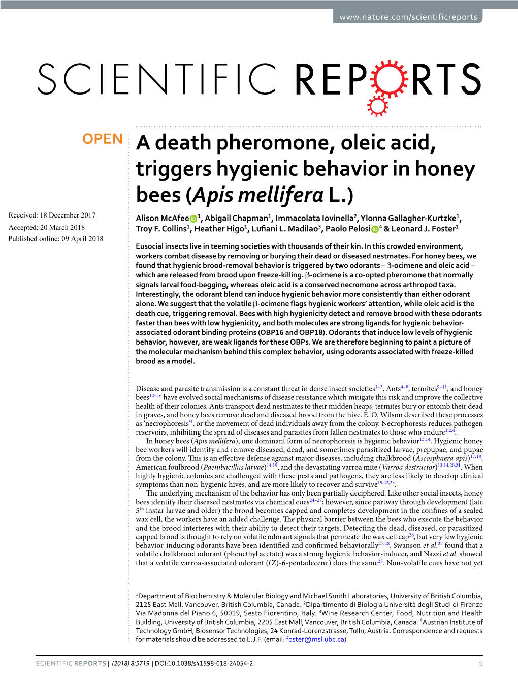 A Death Pheromone, Oleic Acid, Triggers Hygienic Behavior