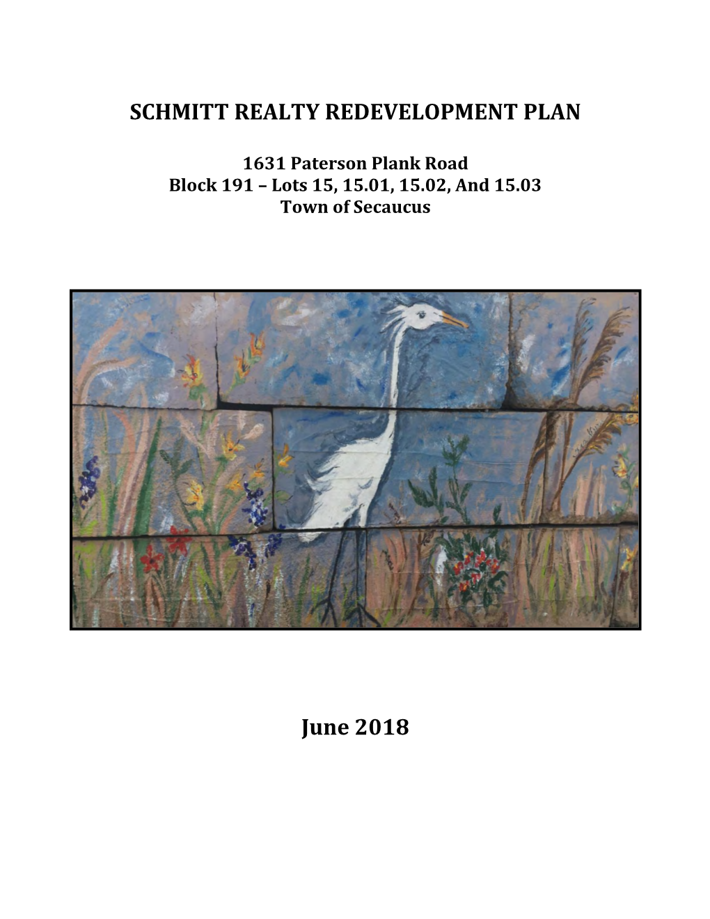 SCHMITT REALTY REDEVELOPMENT PLAN June 2018