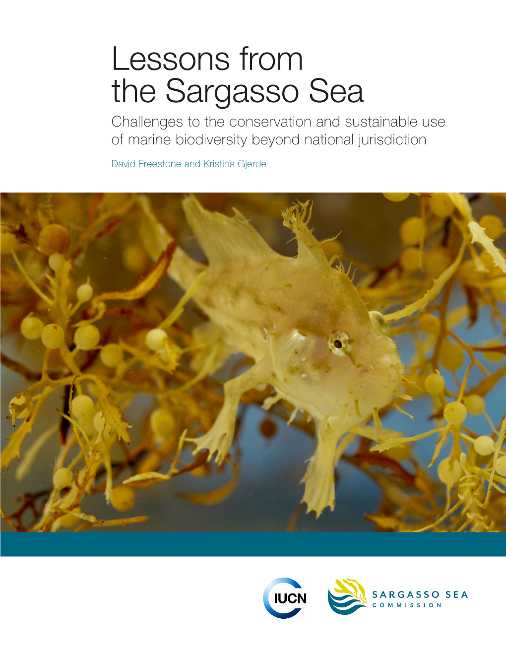 Lessons from the Sargasso Sea Challenges to the Conservation and Sustainable Use of Marine Biodiversity Beyond National Jurisdiction