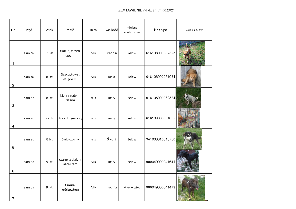 ZESTAWIENIE Na Dzień 09.08.2021 L.P Płęć Wiek Maść Rasa Wielkość