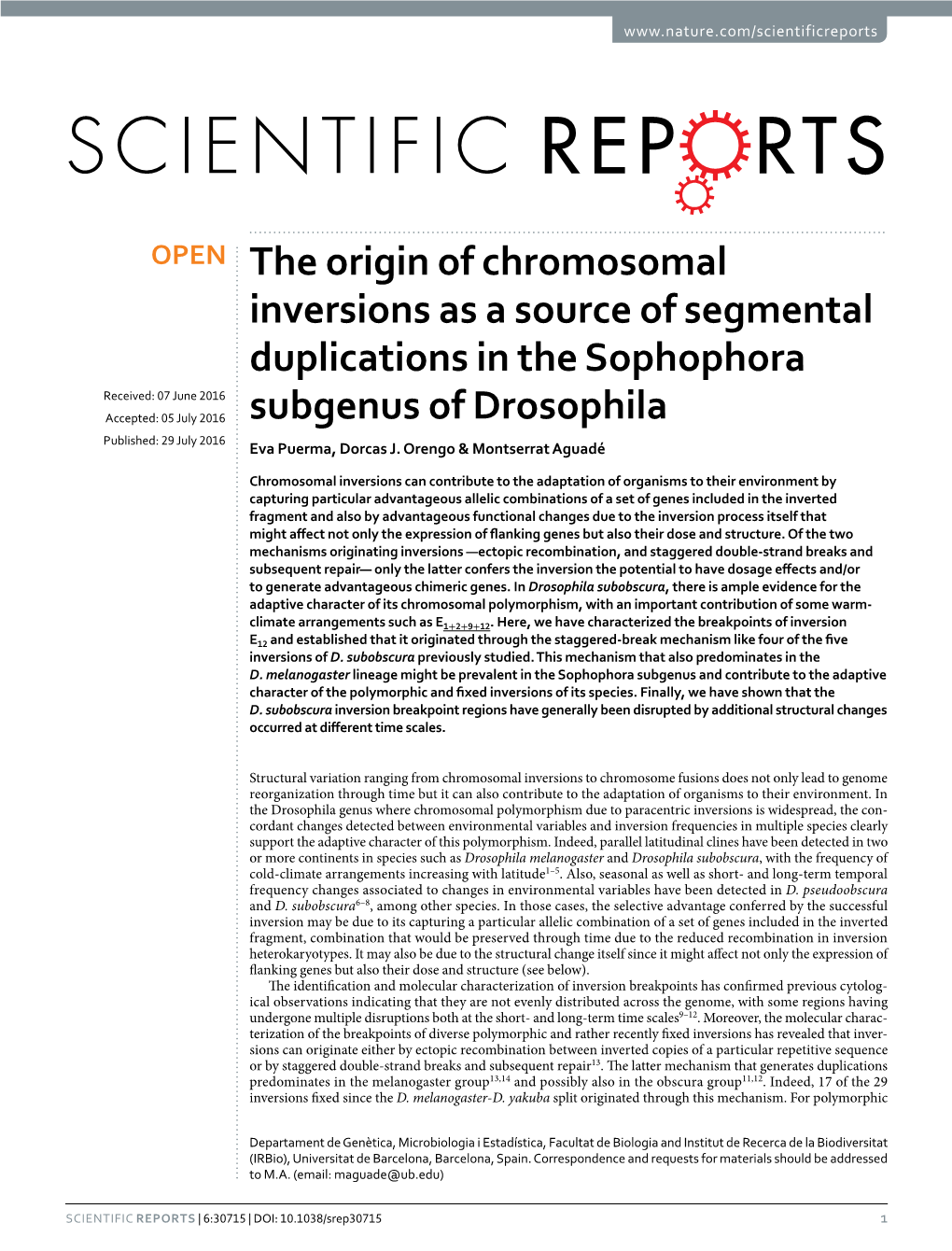 The Origin of Chromosomal Inversions As a Source of Segmental