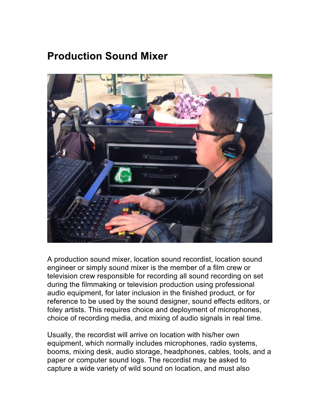 Production Sound Mixer