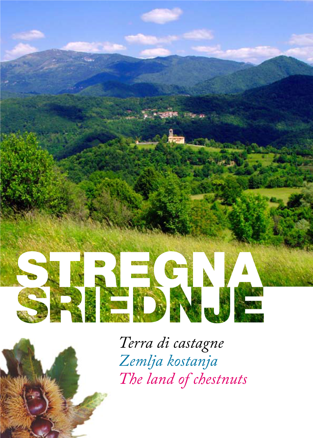 Libro Di Presentazione Di Stregna