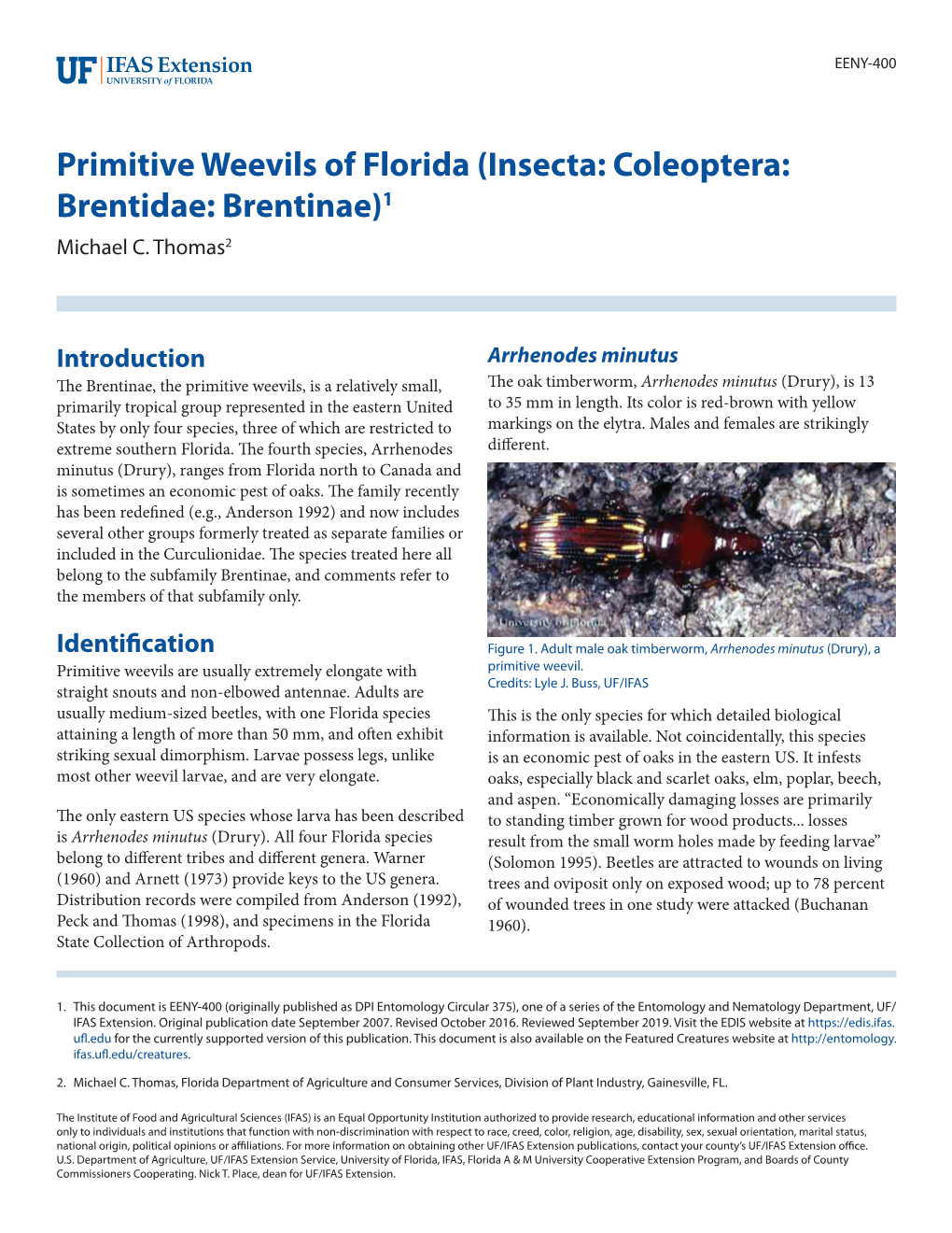 Primitive Weevils of Florida (Insecta: Coleoptera: Brentidae: Brentinae)1 Michael C