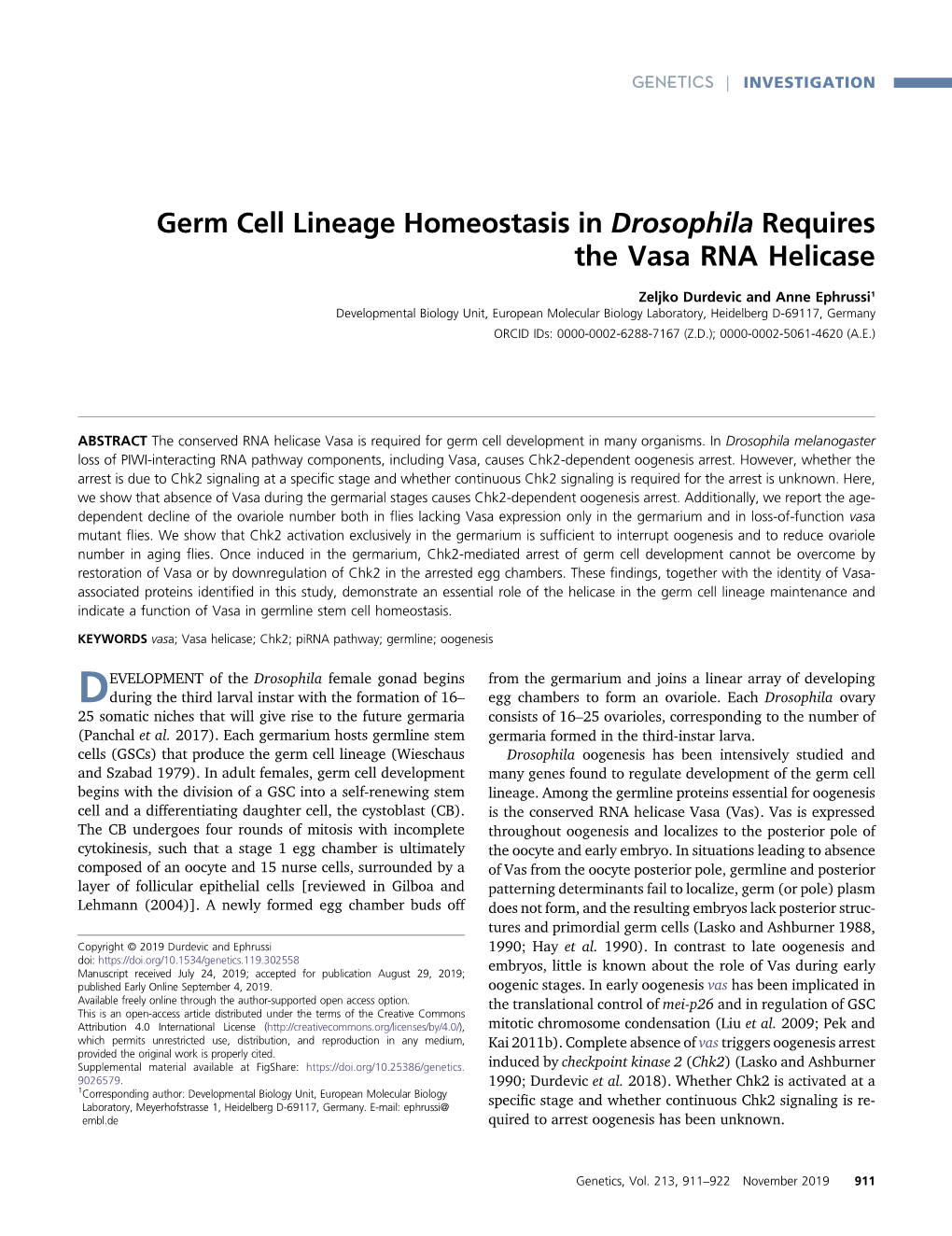 Germ Cell Lineage Homeostasis in Drosophila Requires the Vasa RNA Helicase