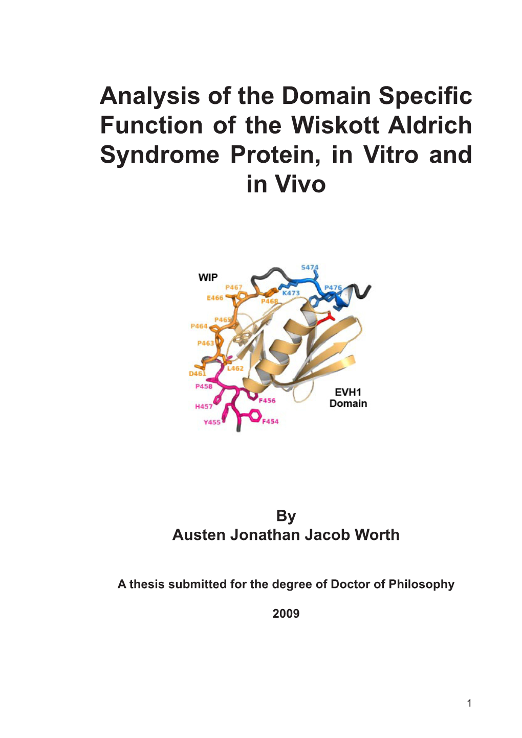 Analysis of the Domain Specific Function of the Wiskott Aldrich Syndrome Protein, in Vitro and in Vivo