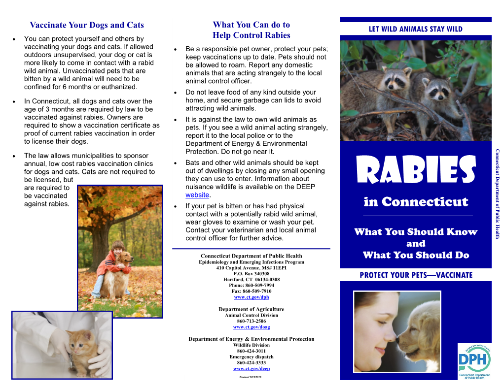 Rabies Vaccinating Your Dogs and Cats