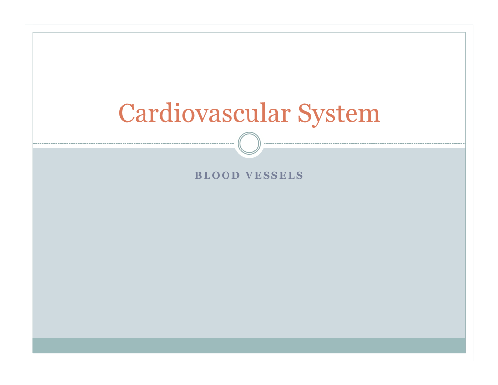 Cardiovascular System