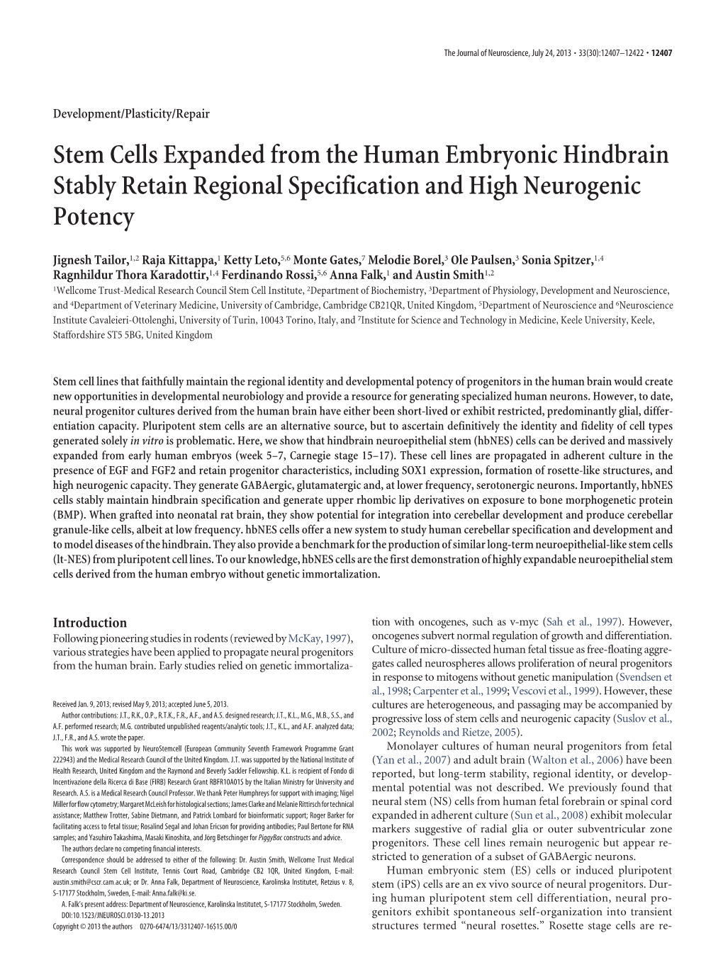 Stem Cells Expanded from the Human Embryonic Hindbrain Stably Retain Regional Specification and High Neurogenic Potency