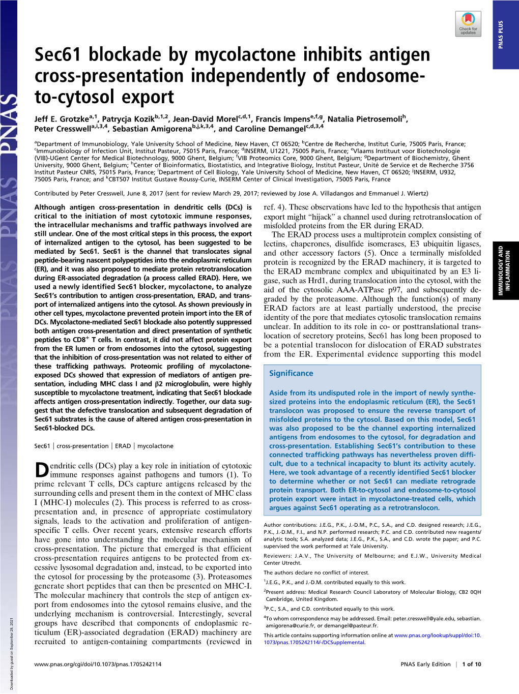 Sec61 Blockade by Mycolactone Inhibits Antigen Cross-Presentation