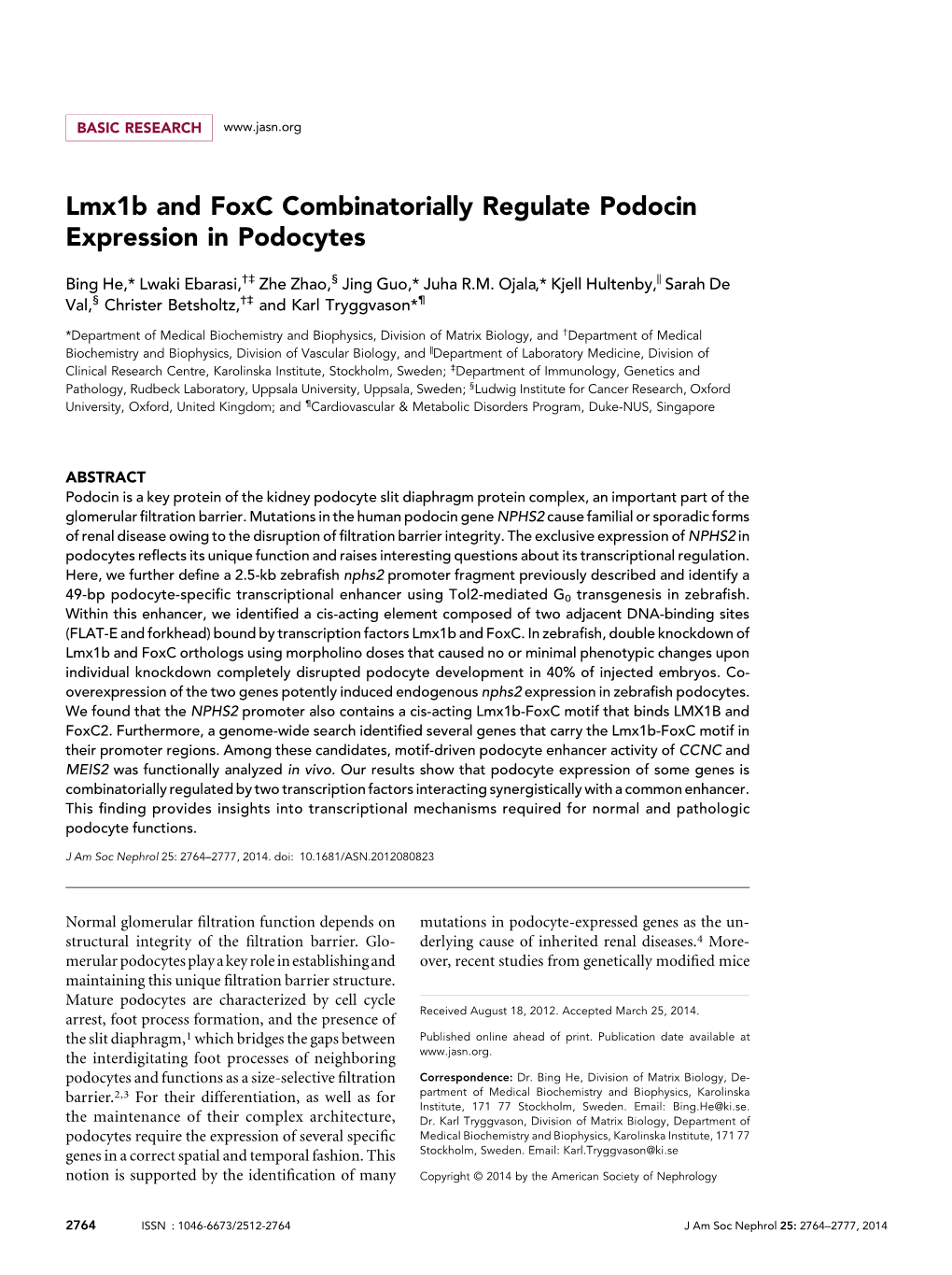 Lmx1b and Foxc Combinatorially Regulate Podocin Expression in Podocytes