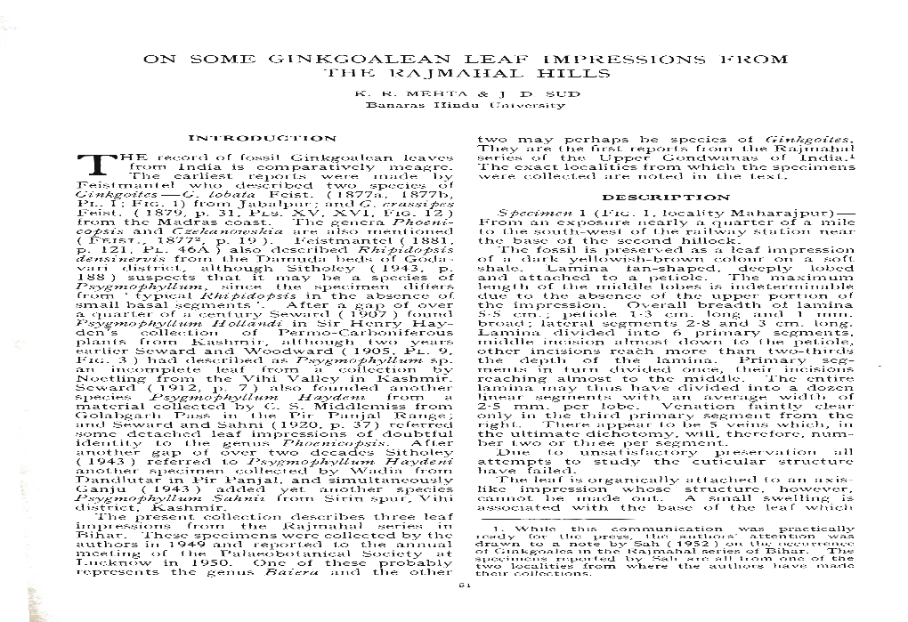 On Some Ginkgoalean Leaf Impressions from the Rajmahal Hills