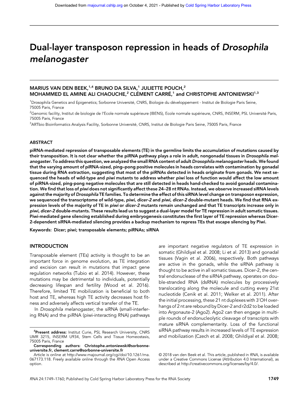 Dual-Layer Transposon Repression in Heads of Drosophila Melanogaster