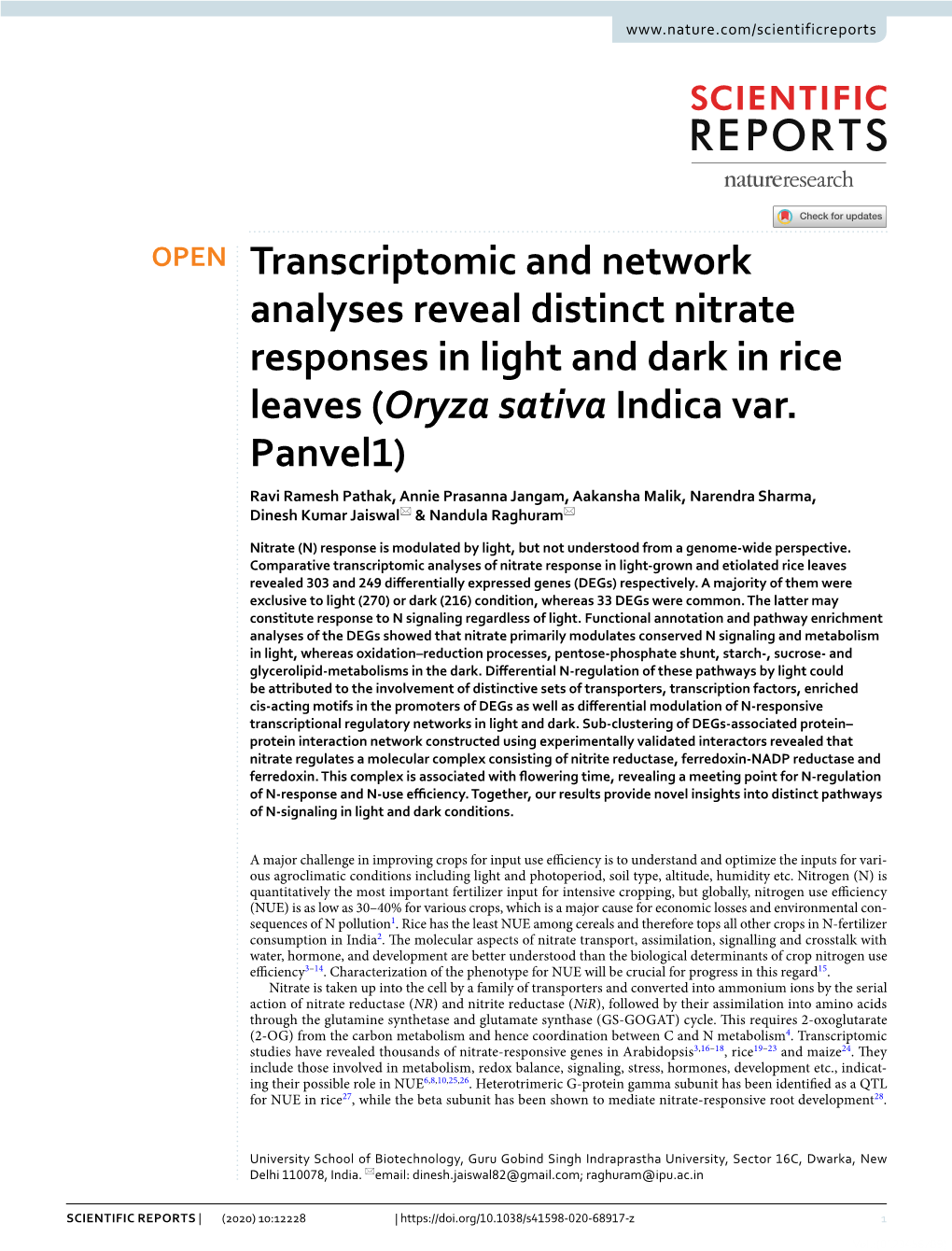 Transcriptomic and Network Analyses Reveal Distinct Nitrate Responses in Light and Dark in Rice Leaves (Oryza Sativa Indica Var