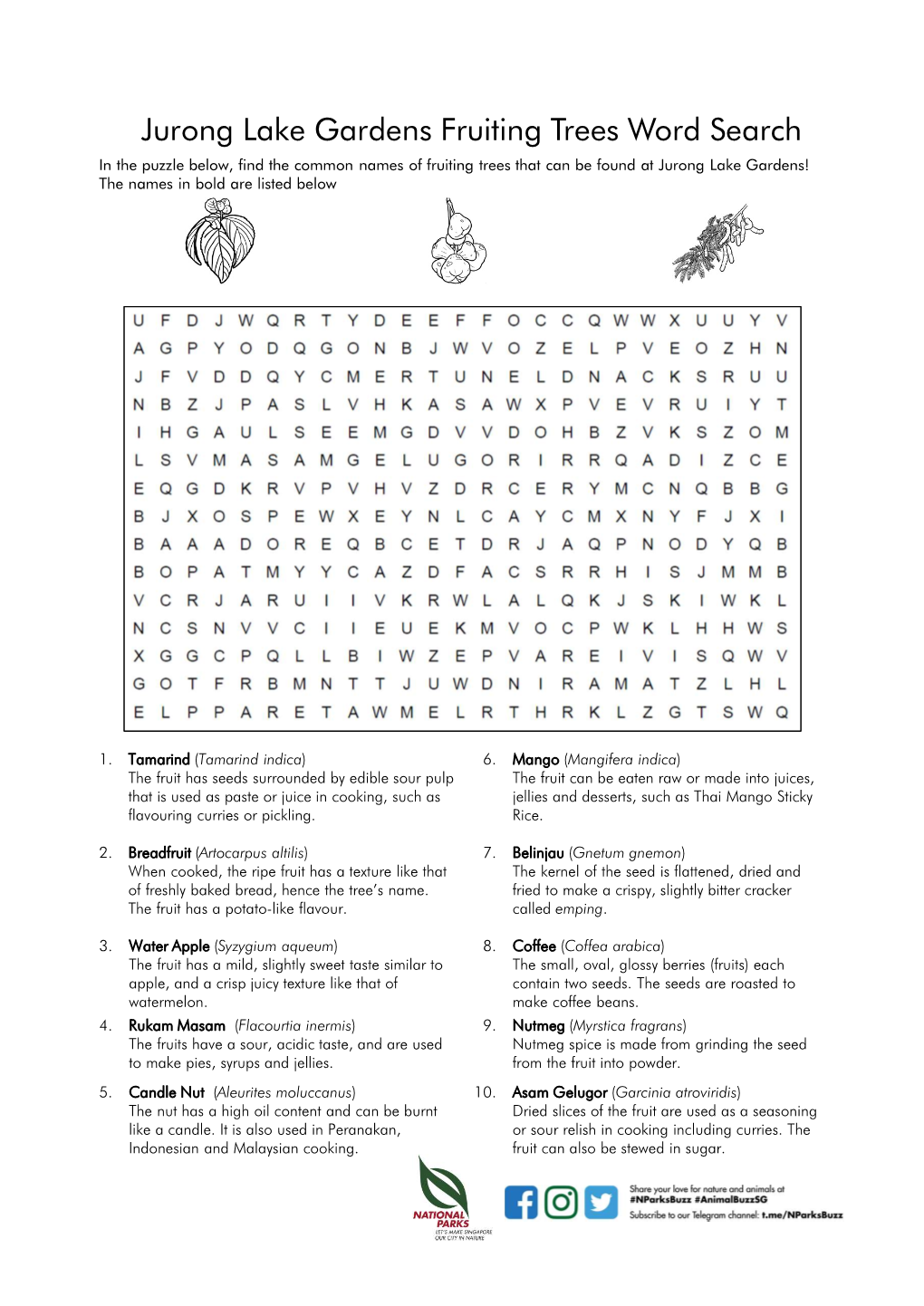 Jurong Lake Gardens Fruiting Trees Word Search