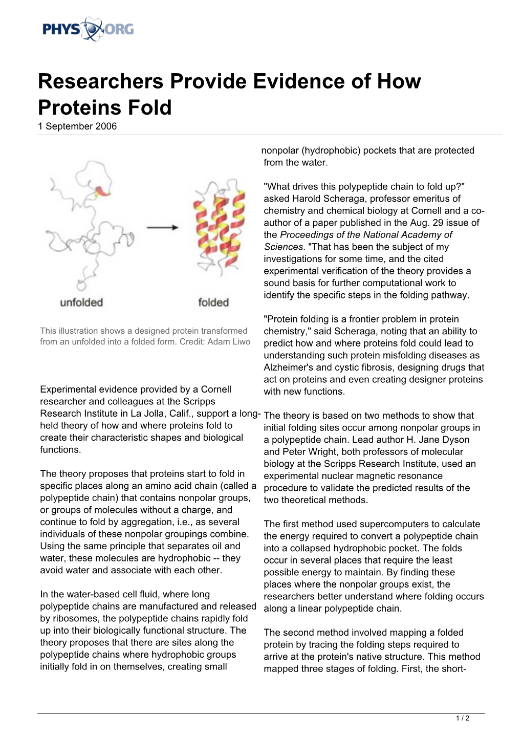 Researchers Provide Evidence of How Proteins Fold 1 September 2006