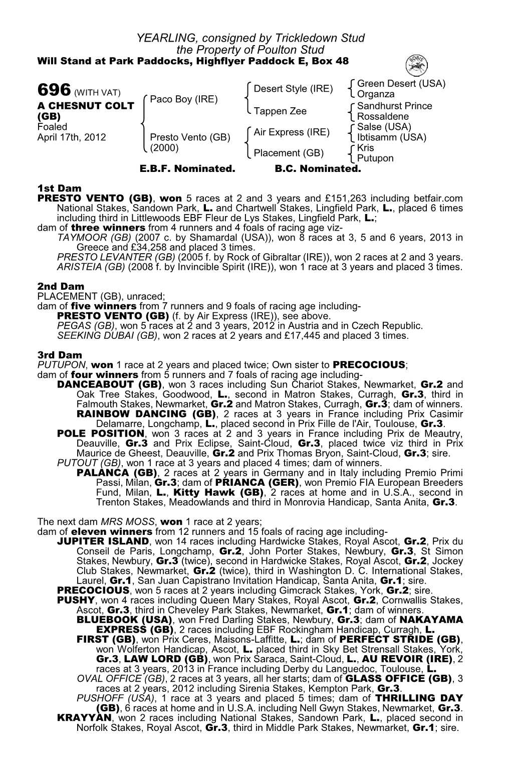YEARLING, Consigned by Trickledown Stud the Property of Poulton Stud Will Stand at Park Paddocks, Highflyer Paddock E, Box 48
