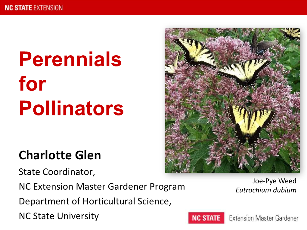 Perennials for Pollinators