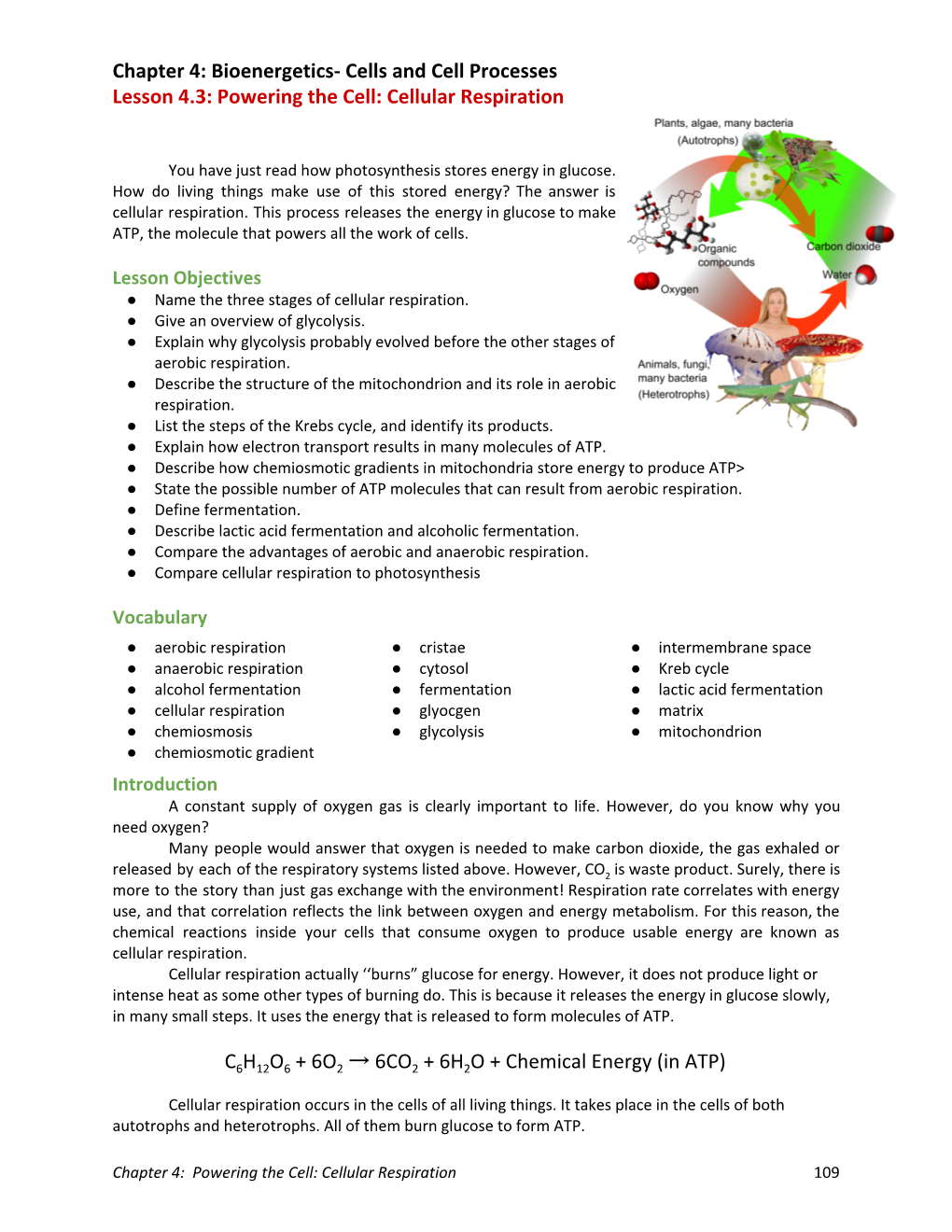 Powering the Cell: Cellular Respiration C​6​H​12​O