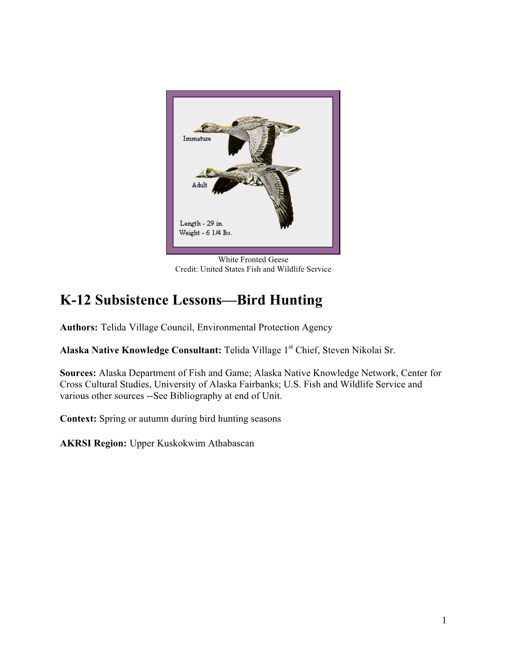 K-12 Subsistence Lessons—Bird Hunting