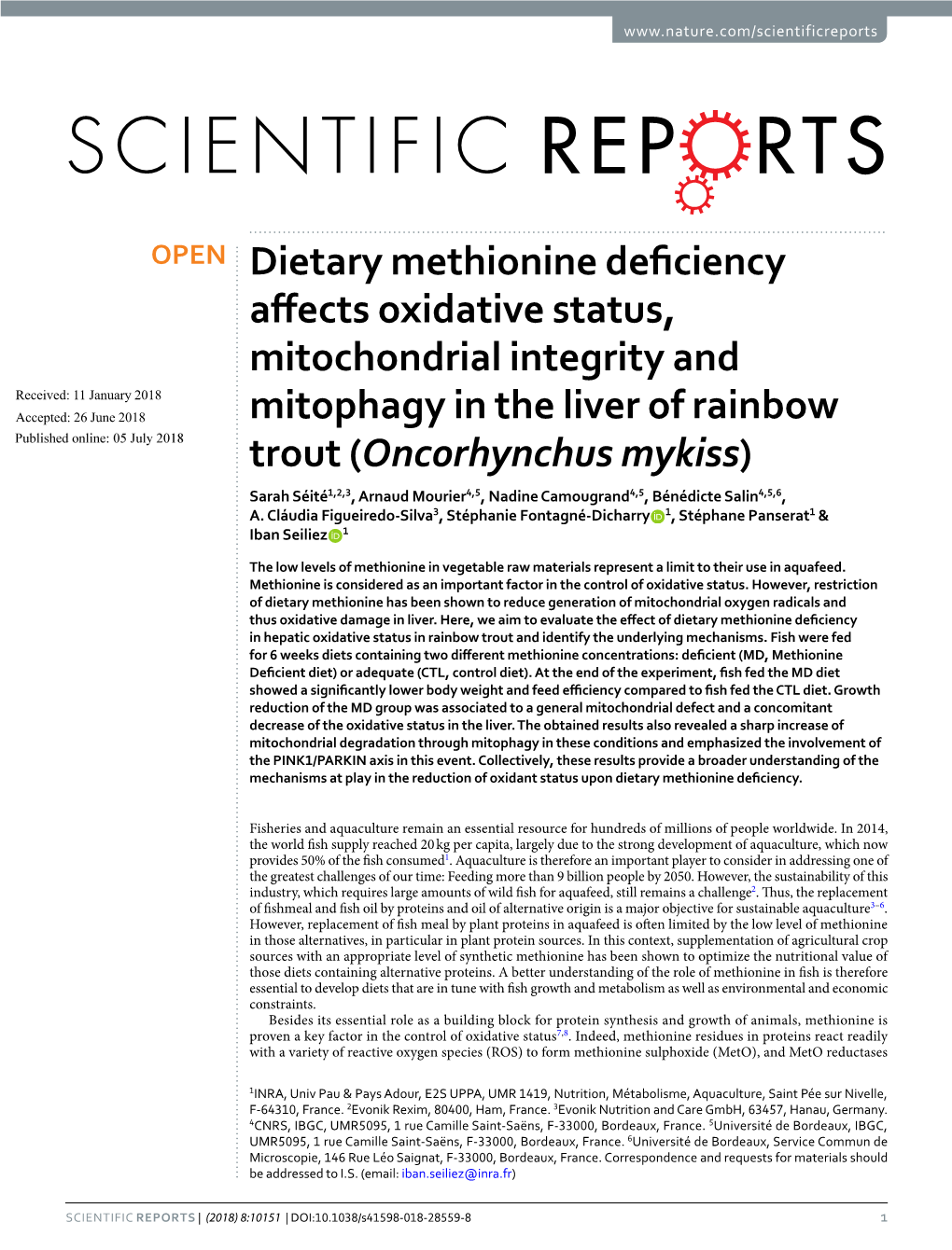 Dietary Methionine Deficiency Affects Oxidative Status, Mitochondrial