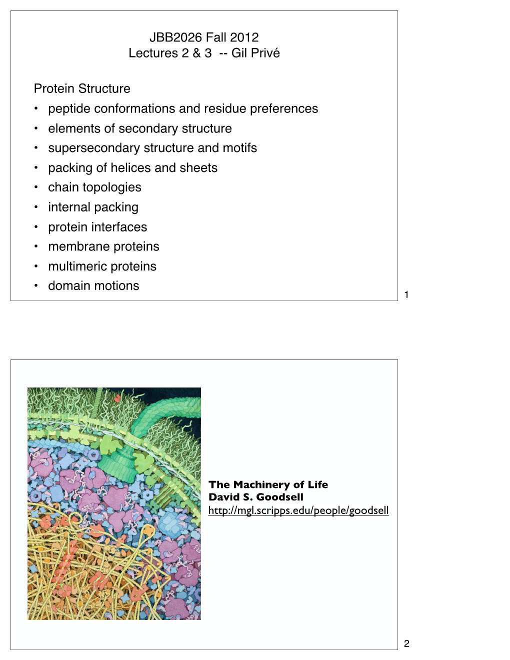 JBB2026 Fall 2012 Lectures 2 & 3 -- Gil Privé Protein Structure • Peptide