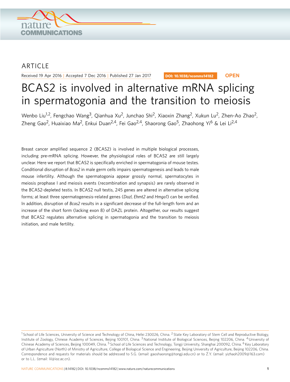 BCAS2 Is Involved in Alternative Mrna Splicing in Spermatogonia and the Transition to Meiosis