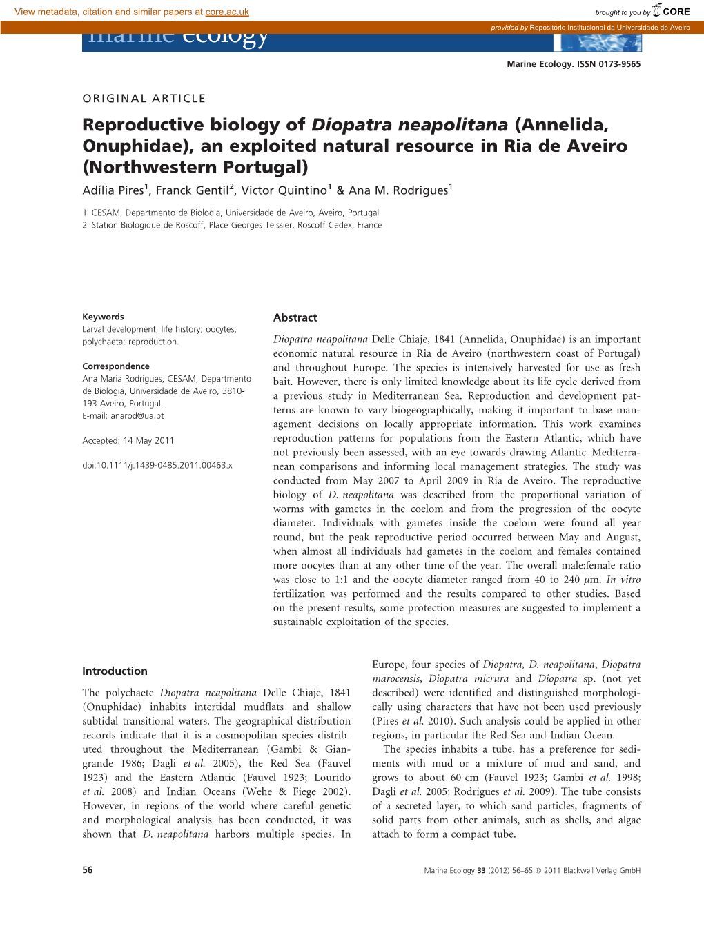 Reproductive Biology of Diopatra Neapolitana