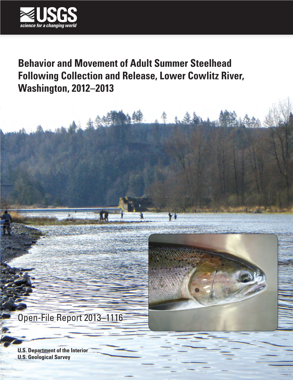 Behavior and Movement of Adult Summer Steelhead Following Collection and Release, Lower Cowlitz River, Washington, 2012–2013