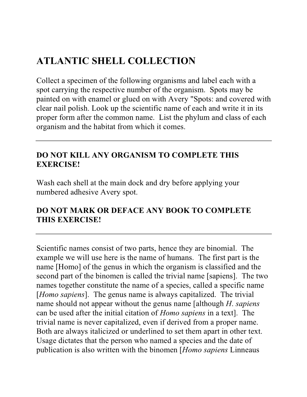 Atlantic Shell Collection