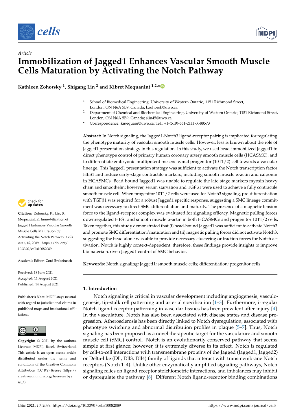 Immobilization of Jagged1 Enhances Vascular Smooth Muscle Cells Maturation by Activating the Notch Pathway