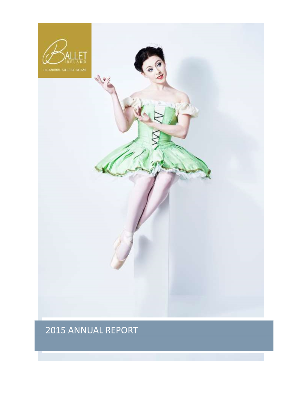 2015 Annual Report