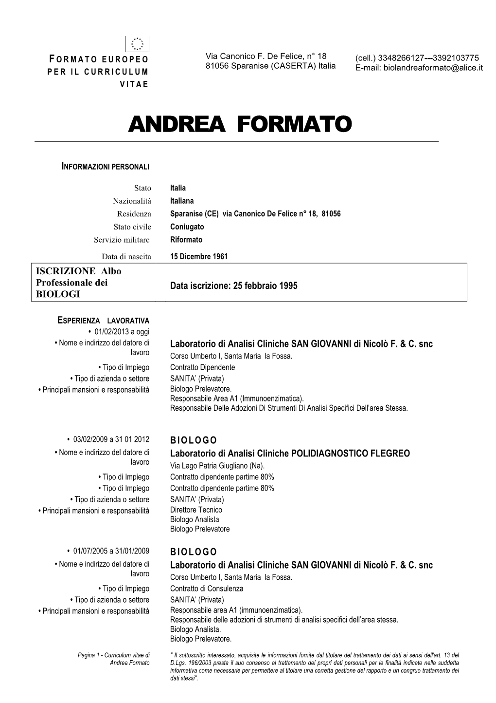 CV Andrea Formato