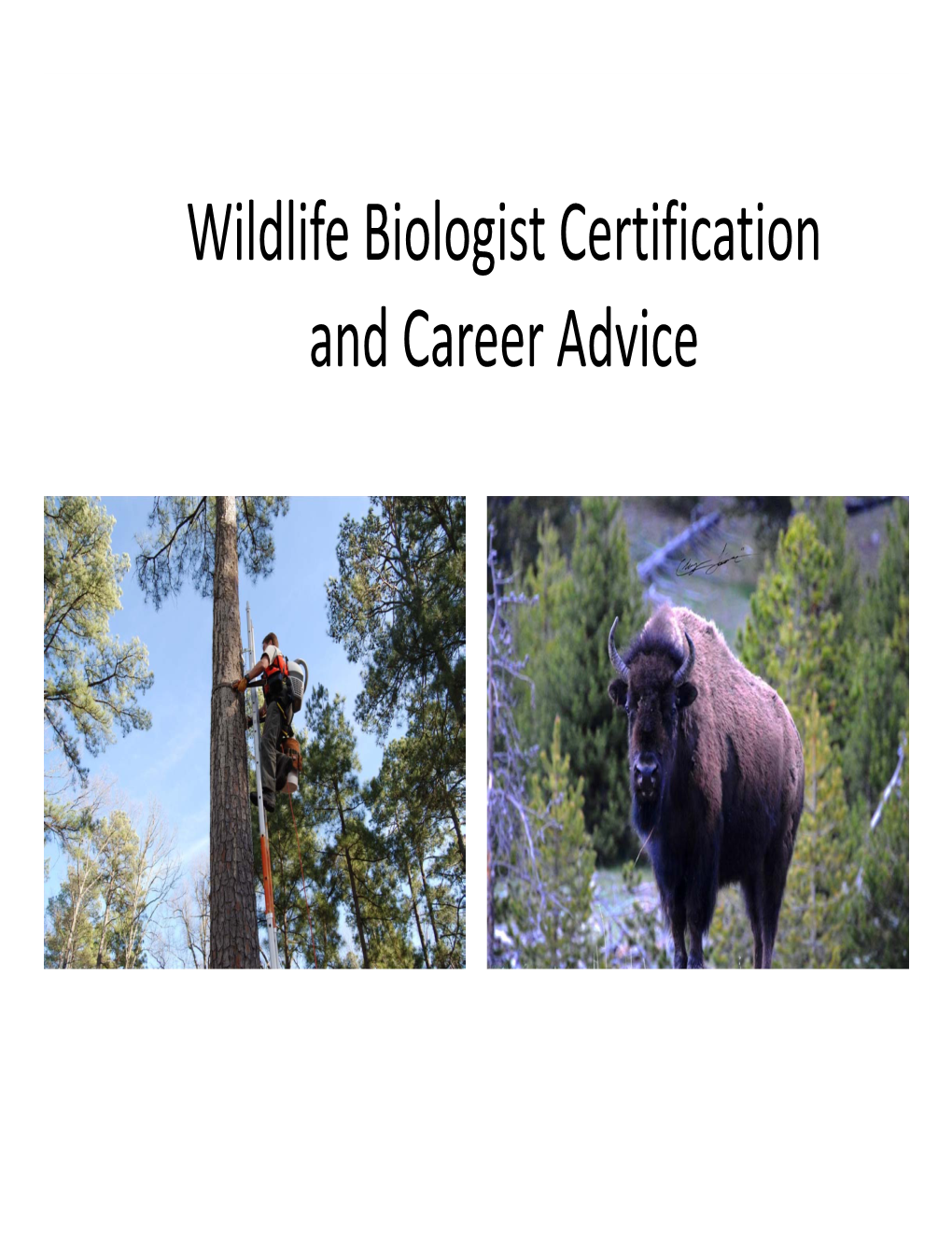 Wildlife Biologist Certification and Career Advice Wildlife Society Certification Program