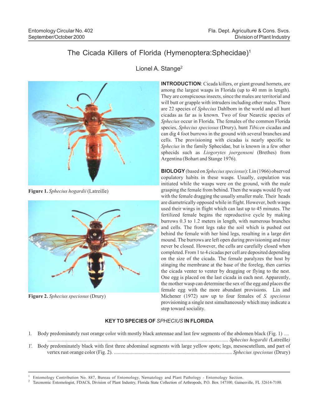The Cicada Killers of Florida (Hymenoptera:Sphecidae)1