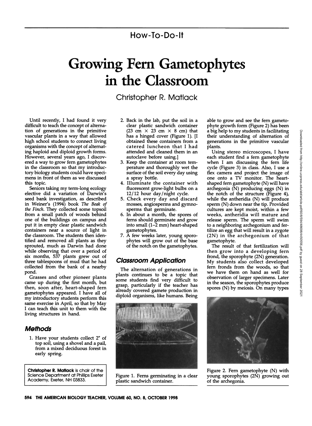 Growing Fern Gametophytes in the Classroom