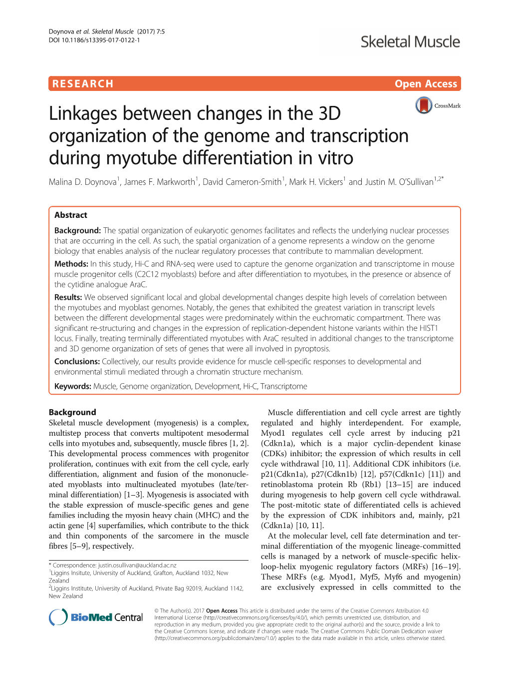 Linkages Between Changes in the 3D Organization of the Genome and Transcription During Myotube Differentiation in Vitro Malina D