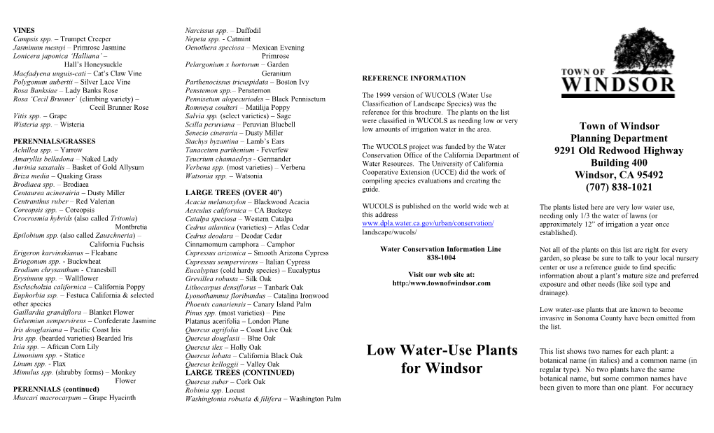 Low Water-Use Plants