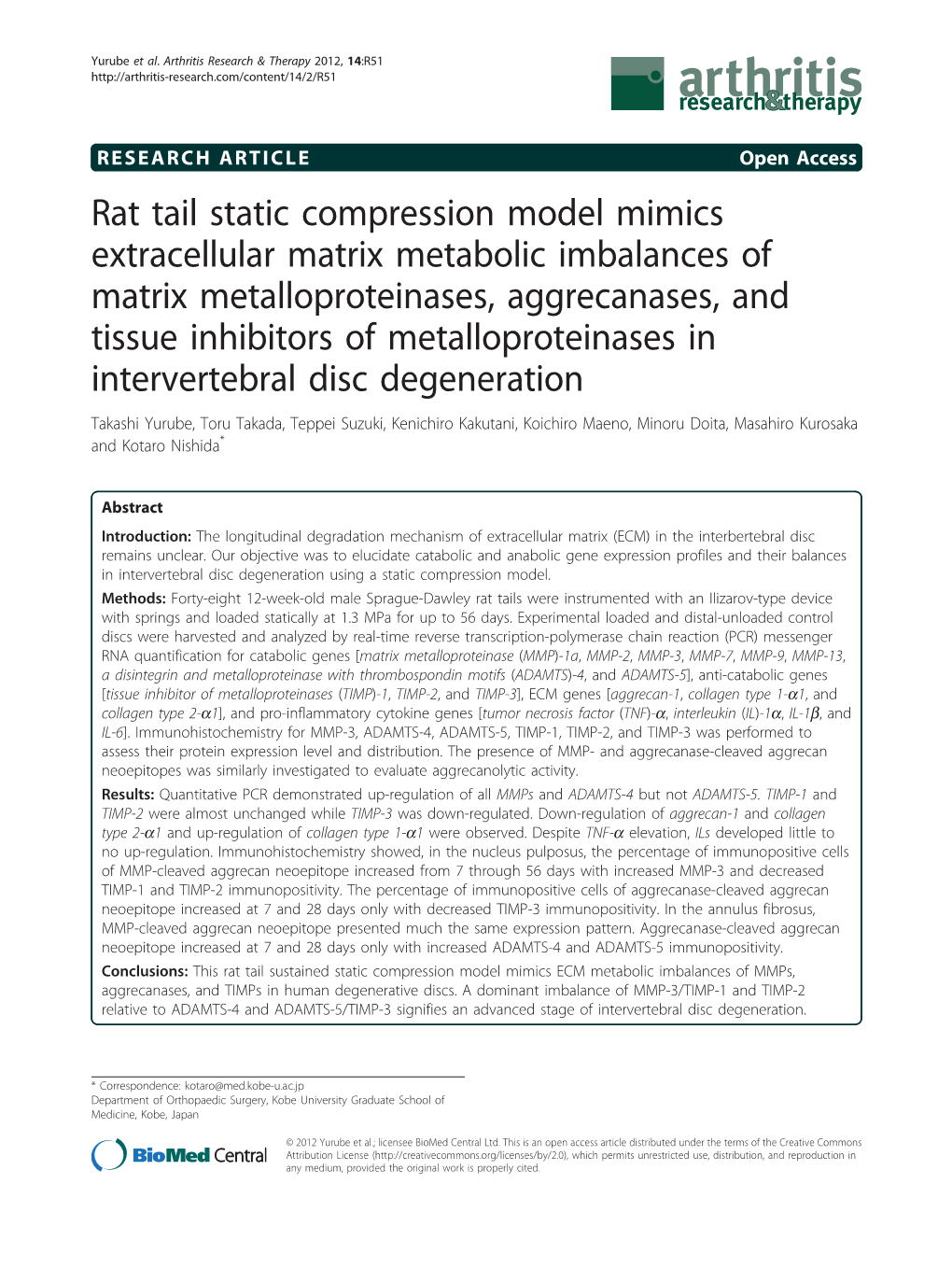 Rat Tail Static Compression Model Mimics