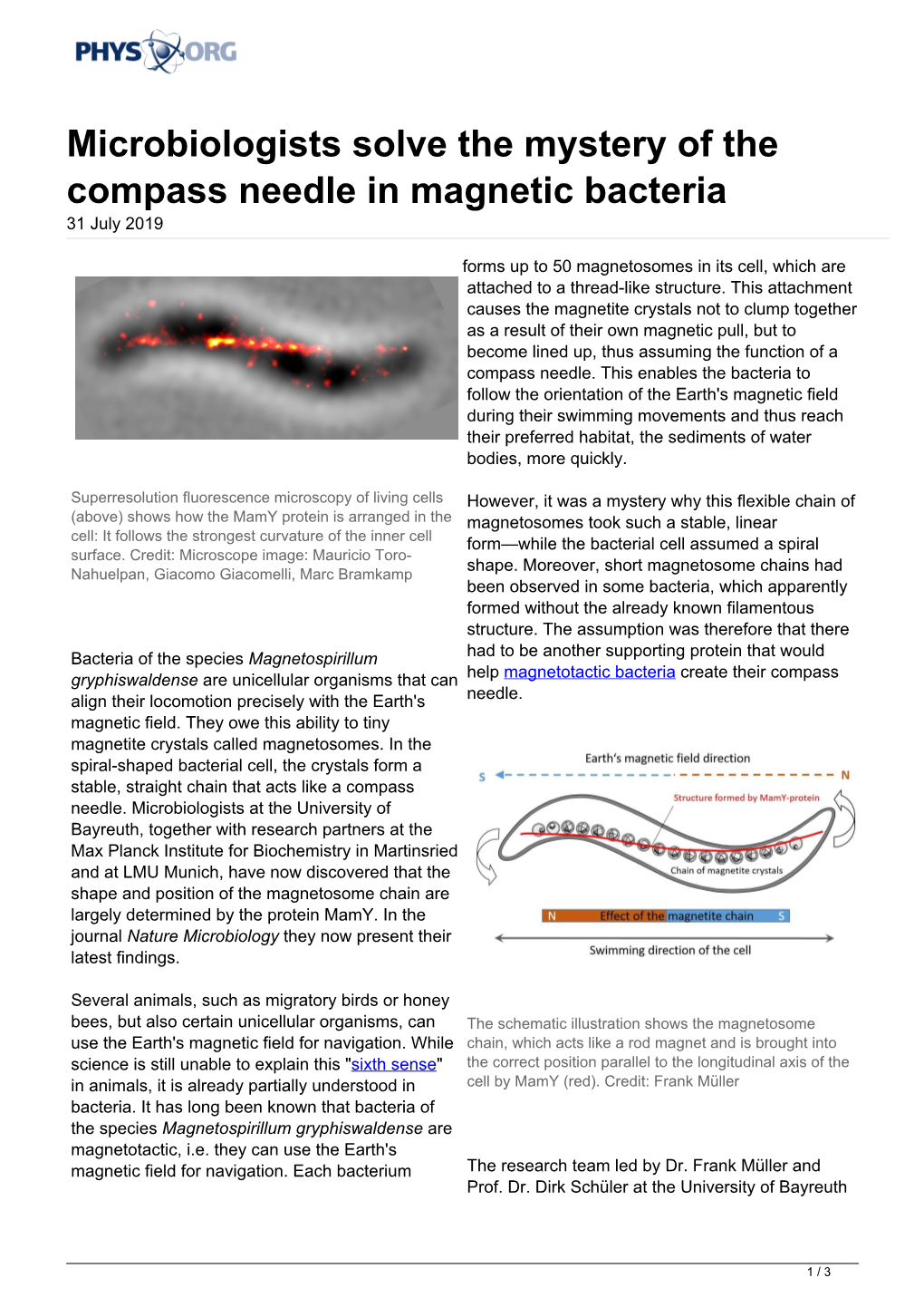 Microbiologists Solve the Mystery of the Compass Needle in Magnetic Bacteria 31 July 2019