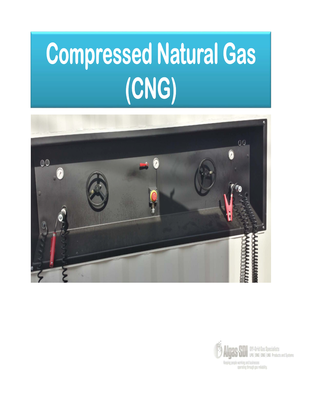 Compressed Natural Gas (CNG) CNG Model