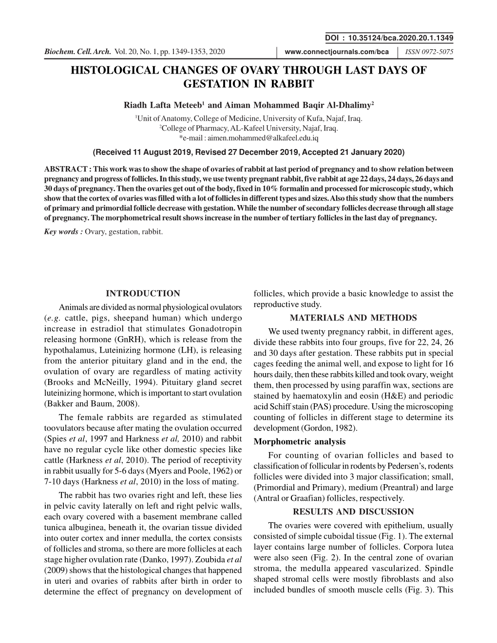 Histological Changes of Ovary Through Last Days of Gestation in Rabbit