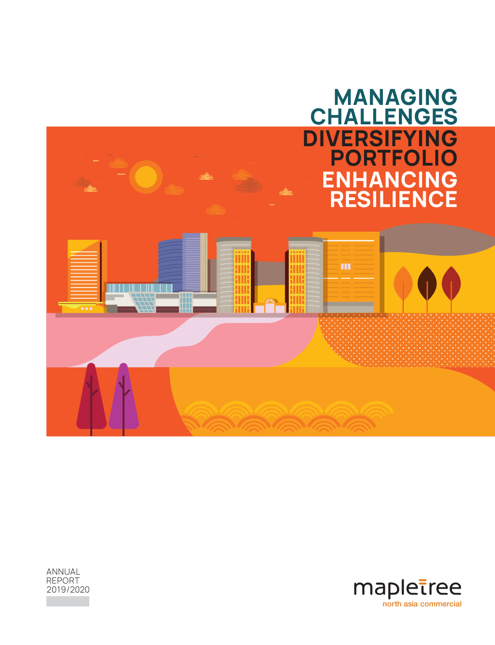 Managing Challenges Diversifying Portfolio Enhancing Resilience