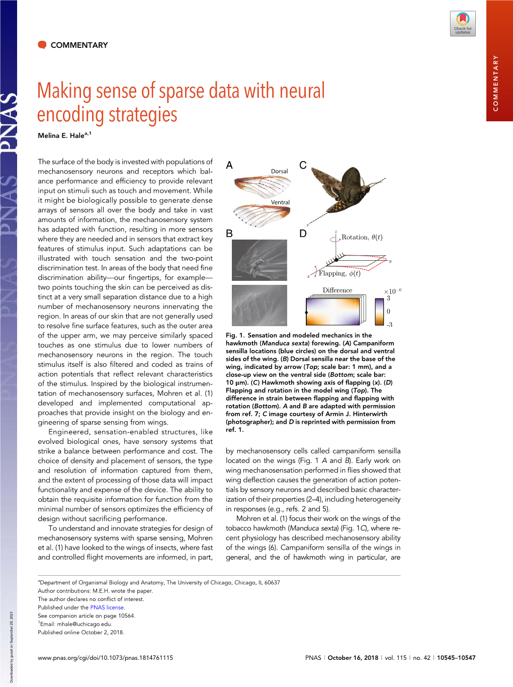 Making Sense of Sparse Data with Neural Encoding Strategies COMMENTARY Melina E