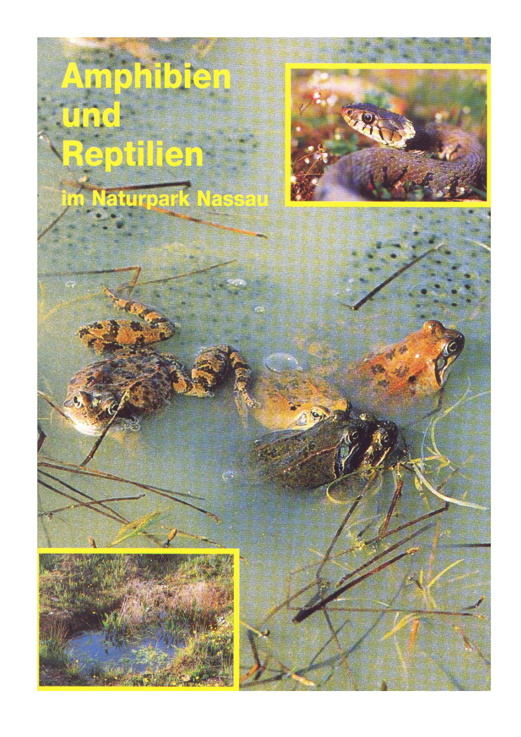 Amphibien Und Reptilien Im Naturpark Nassau