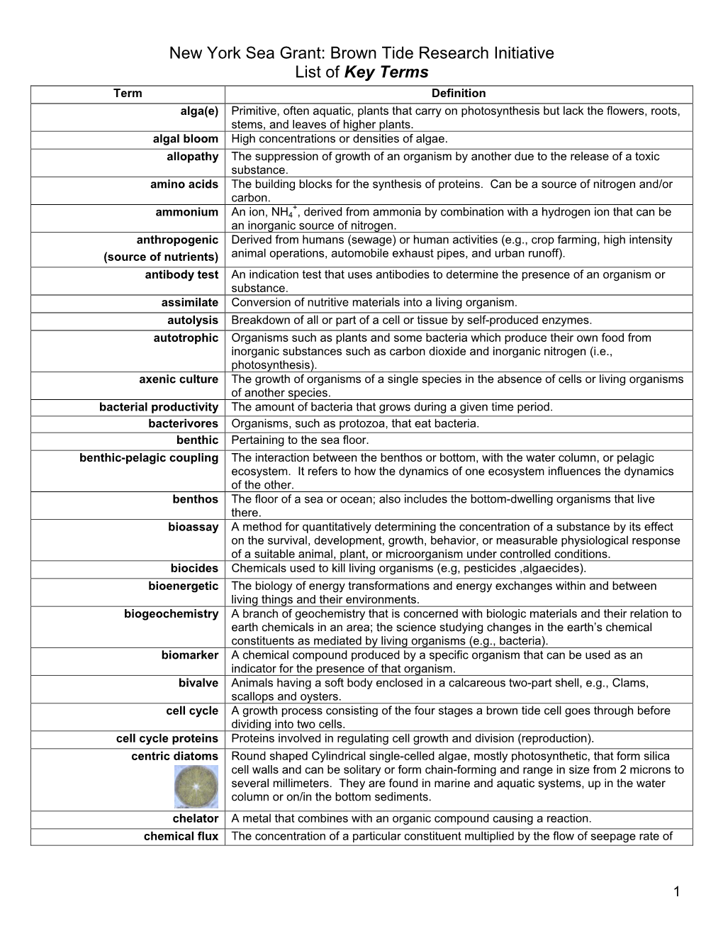 Key Terms For