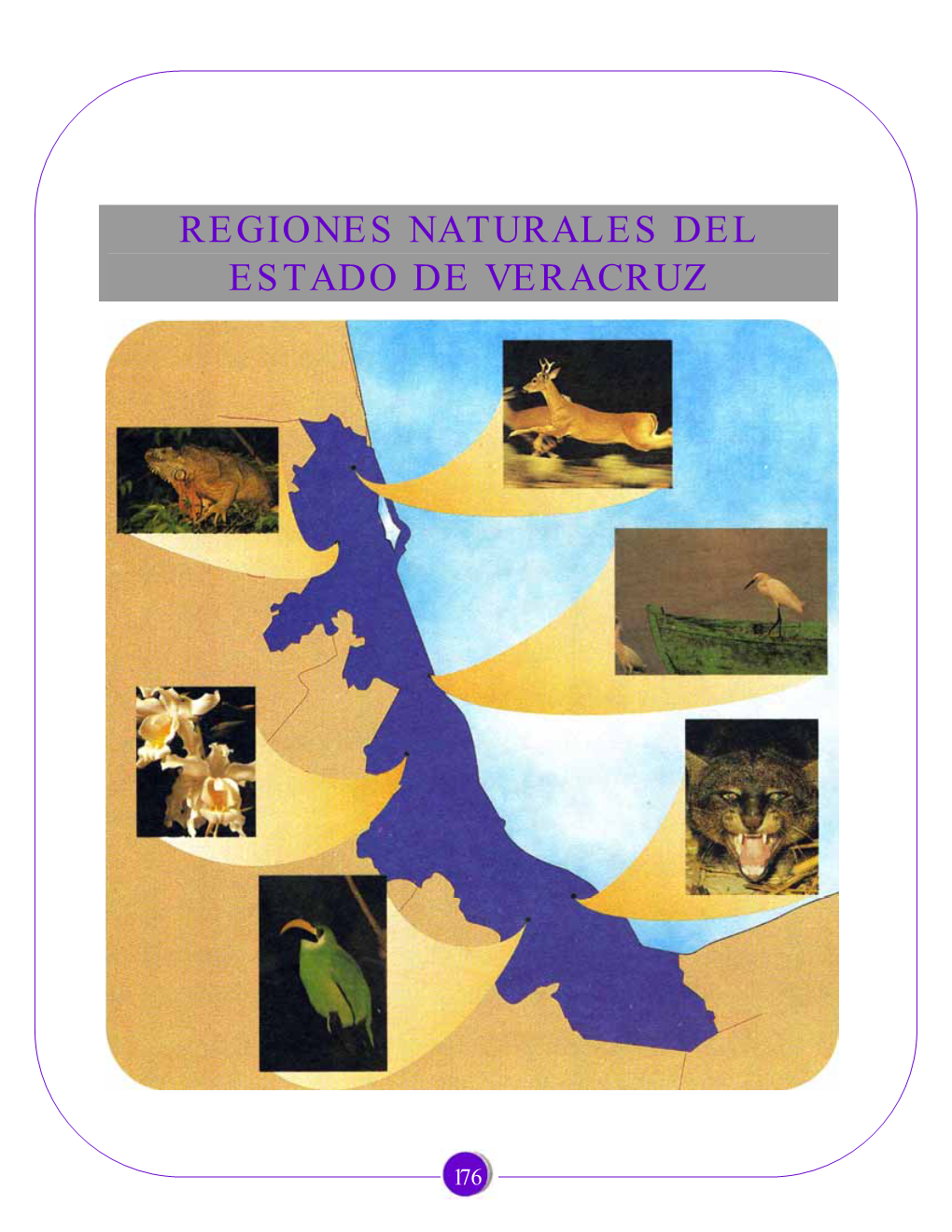 Regiones Naturales Del Estado De Veracruz