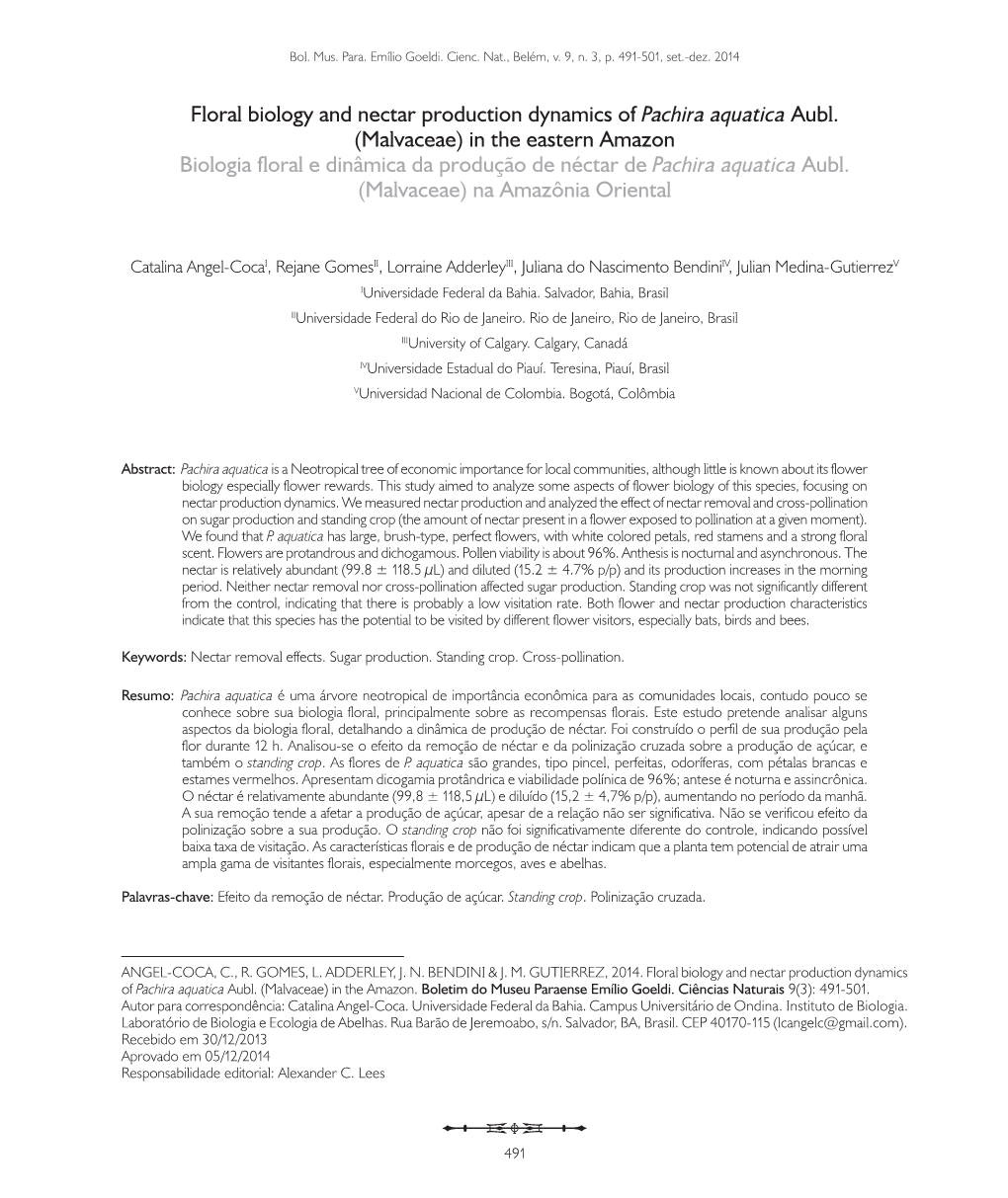 Floral Biology and Nectar Production Dynamics of Pachira Aquatica Aubl